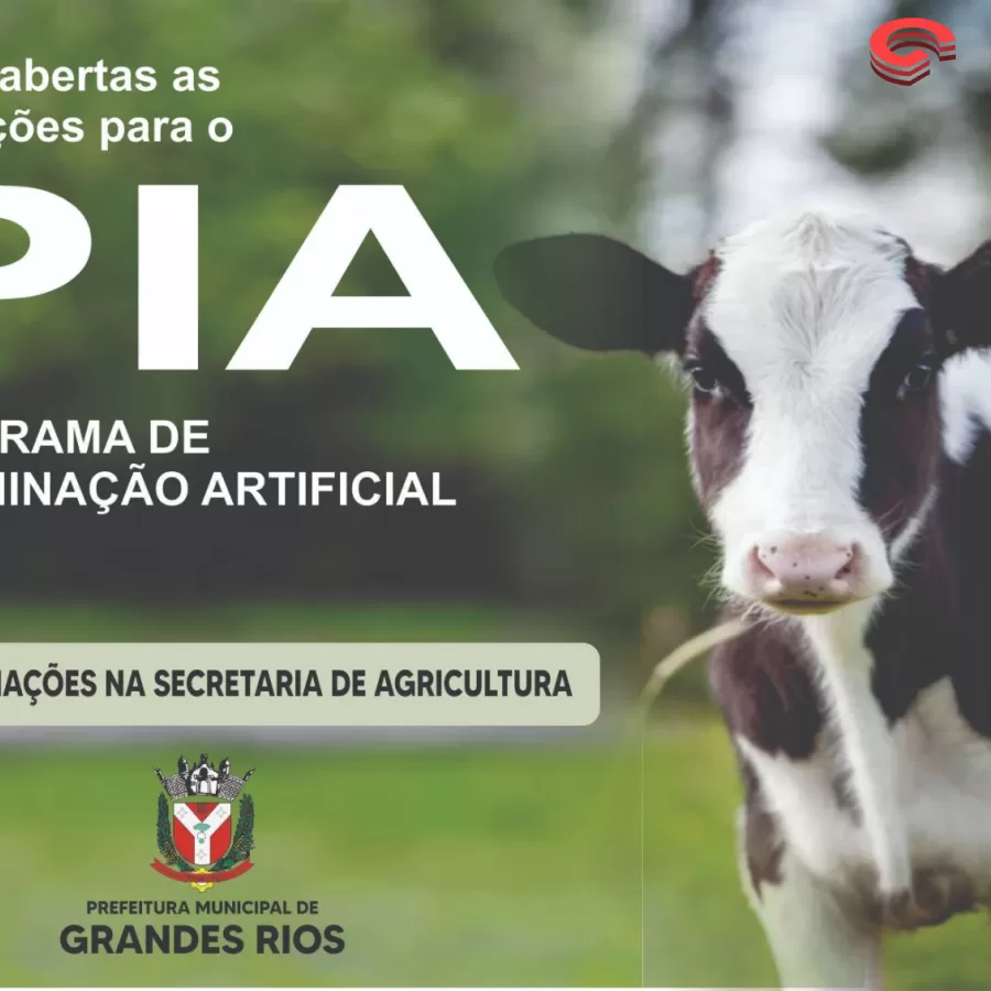 Agricultura| No município de Grandes Rios, nasce os primeiros bezerros do programa PIA