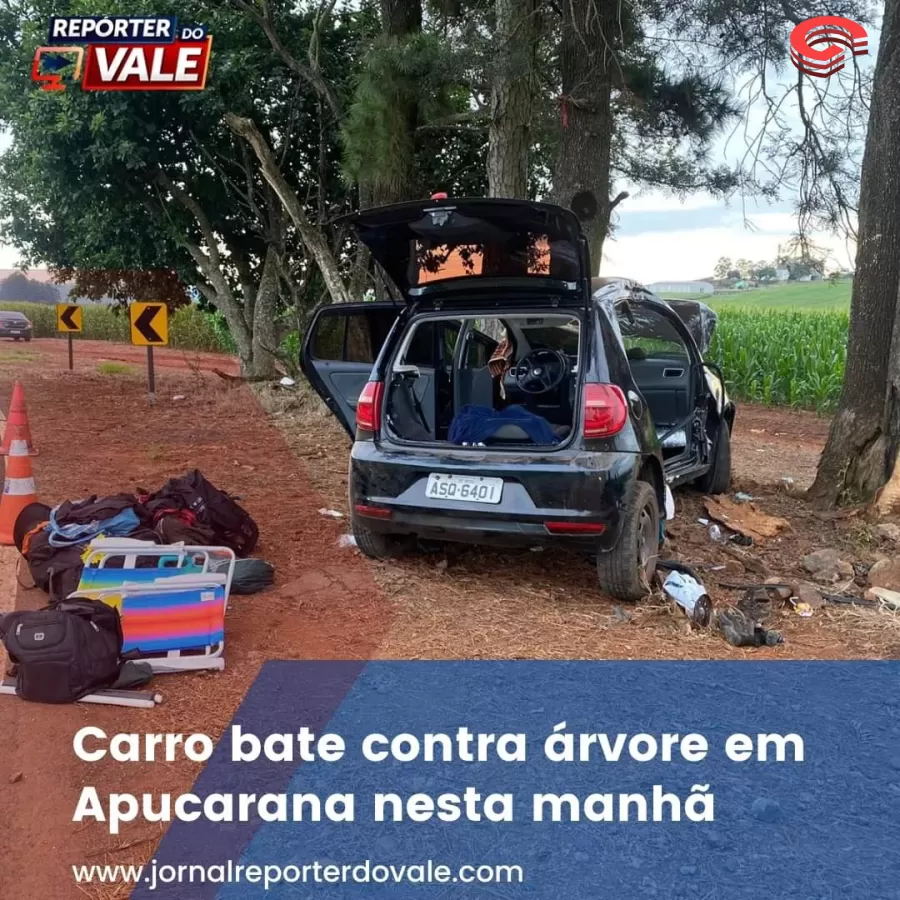 Carro bate em árvore em Apucarana. 