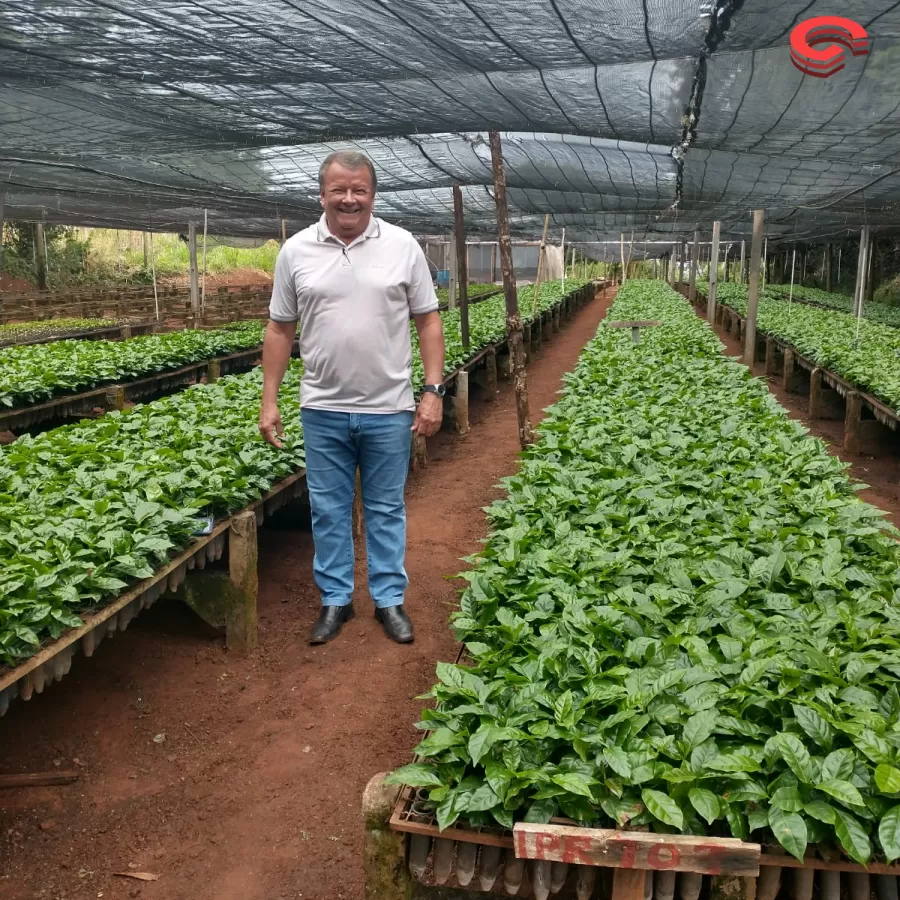 Prefeito municipal de Grandes Rios Toninho do Café destaca o papel crucial do Viveiro municipal na agricultura local.