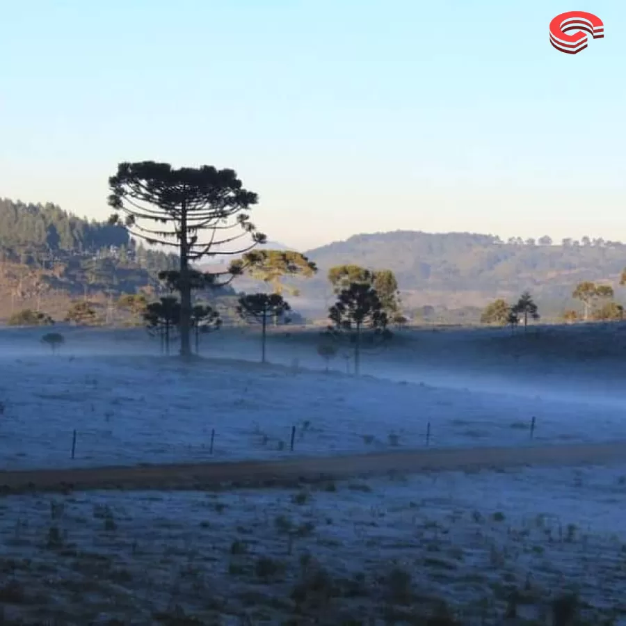 Massa de ar frio provoca queda de temperatura e geada.