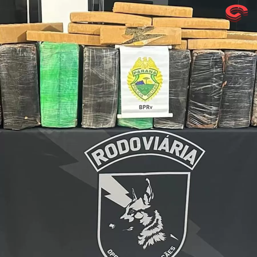 Polícia Militar do Paraná apreende mais de 200 quilos de maconha 